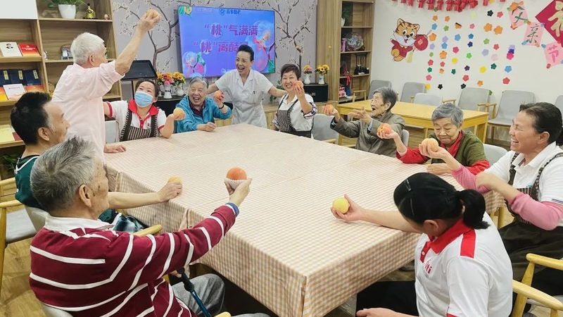 农村养老院补贴政策解读：补贴标准与申请流程